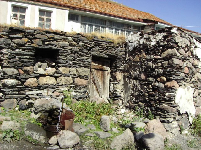 photo49.jpg