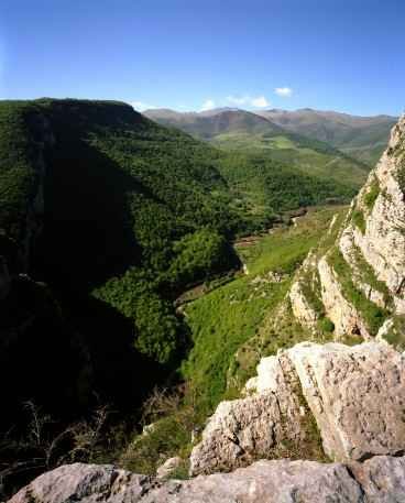 photo20.jpg