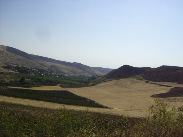 photo4.jpg