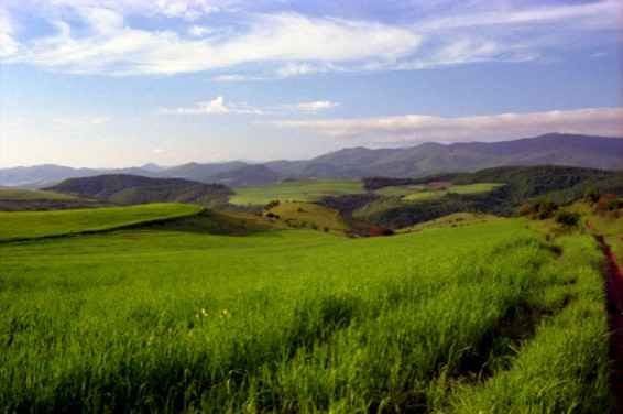 photo9.jpg