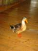 photo138_small.jpg