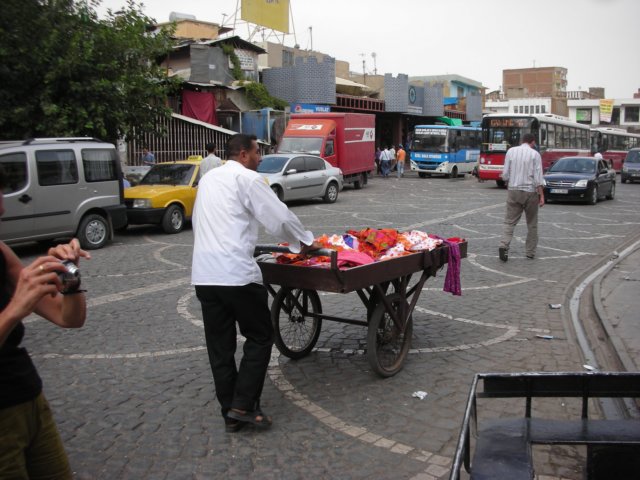 photo66.jpg