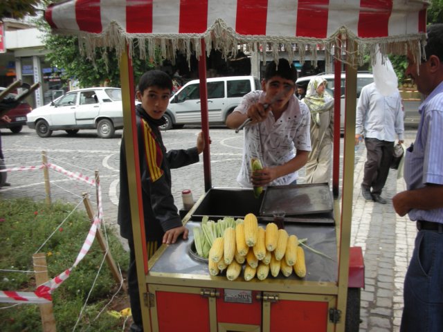 photo68.jpg