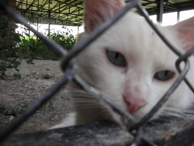 photo85.jpg