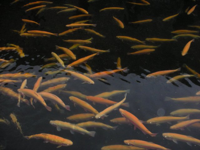 photo91.jpg
